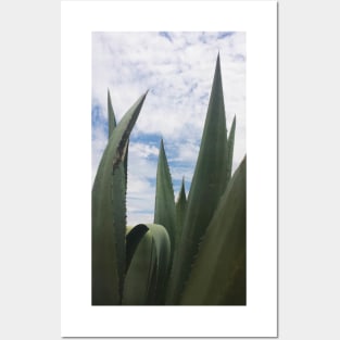 Agave Clouds Posters and Art